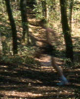 fantasma