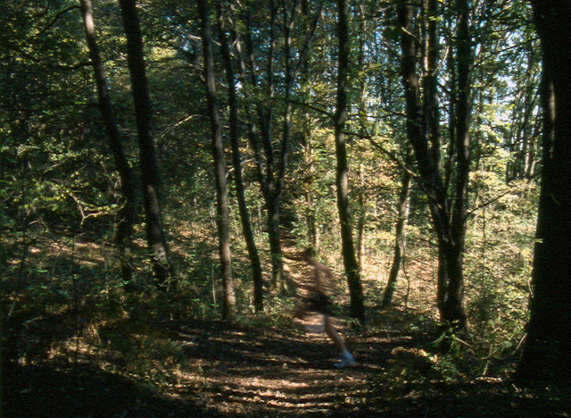 bosco del montello, autoritratto