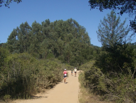 summer run